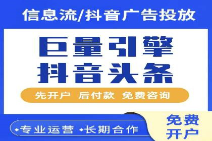 谷歌竞价广告与SEO结合的营销案例解析